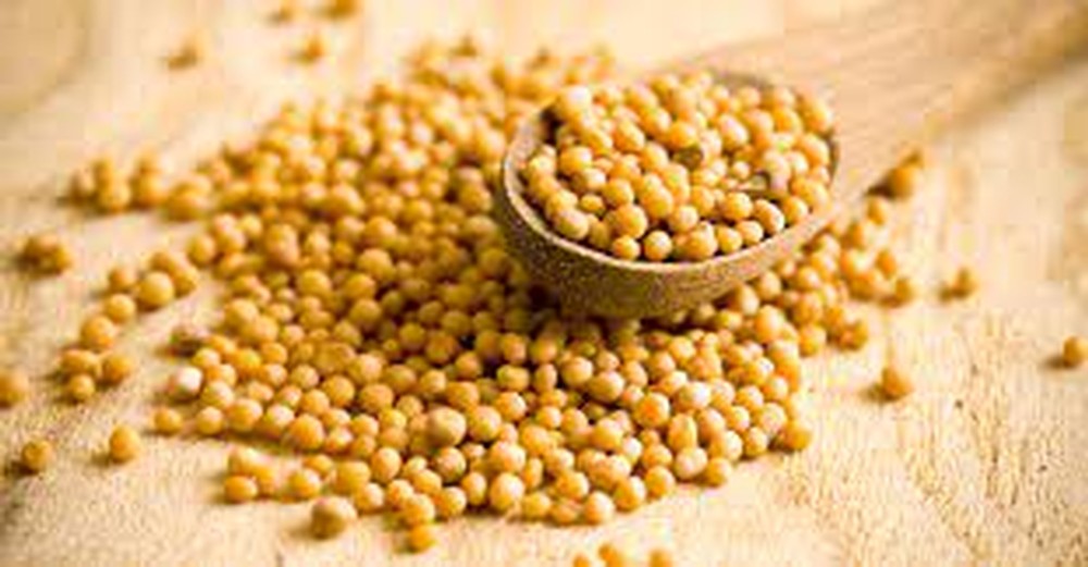 House Mustard